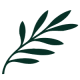 CY